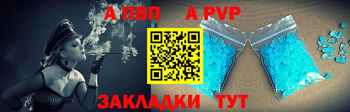 Alfa_PVP СК КРИС Кызыл