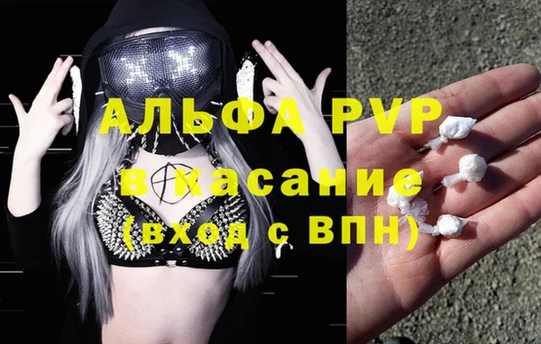 гидра Алексеевка
