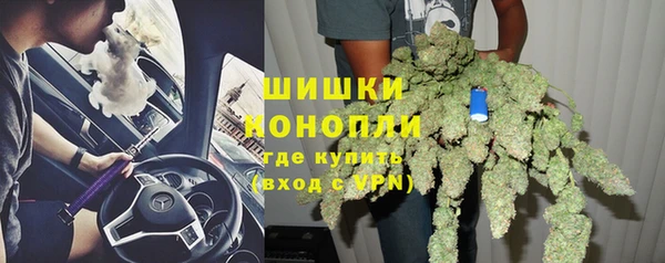 гидра Алексеевка