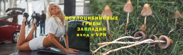 каннабис Алзамай