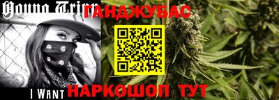 молекула духа Кингисепп