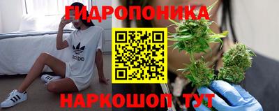 мдпв Кинель