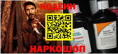 молекула духа Кингисепп