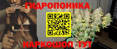 ешки Кимры