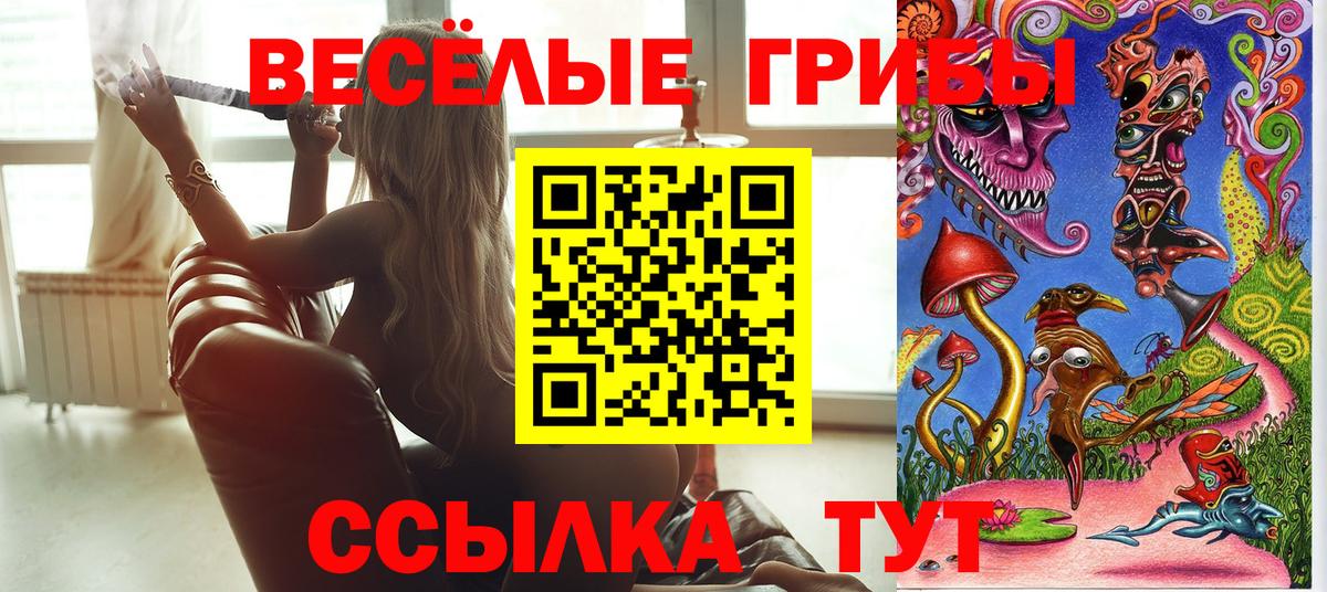 Галлюциногенные грибы GOLDEN TEACHER  где можно купить наркотик  Кызыл  Вход с VPN  Галлюциногенные грибы Psilocybine cubensis 